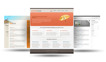 Web漏洞扫描工具